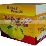 China Supplier Corrugated Cardboard Carton for Fruit