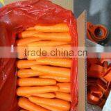 Sweet Taste Good Quality Fresh Carrot From Shandong thumbnail-1