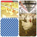 Traditional raising chicken/poultry floor feeding system