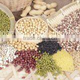 Complete Automatic-- 5 TPH Full Automatic Lentil Peeling and Splitting Line thumbnail-2