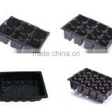 Growing Vegetable Transplants in Plug Seed Nursery Trays 8 Cell thumbnail-3
