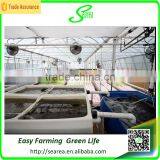 Single Span Greenhouse for Vegetable Fruits Agricultural Greenhouses thumbnail-2