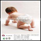 Sesame Point Hydrophilic SS Polypropylene Non-woven Fabrics thumbnail-5