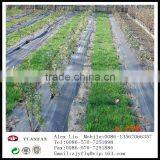 Agricultural Non-woven Fabric, Lock Water Non-woven, Soil Moisture Slow Water Evaporation Rate. thumbnail-4
