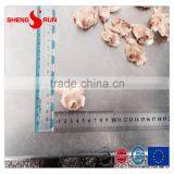 Frozen IQF Surf Clam Meat Gutted thumbnail-2