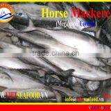FROZEN W/R HORSE MACKEREL thumbnail-1