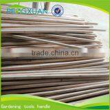 Factory Wholesale First Grade Quality and Smooth Surface Timber Wood Logs thumbnail-1