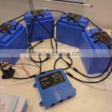 Battery for Electric Sightseeing Car 48V110AH