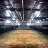 8mm PC Board Covering Greenhouse With Auto Blackout thumbnail-2