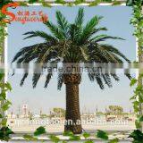 Plastic Date Palm Trees Prices Wedding Decorations Fake Large Plastic Tree and Plants Wholesale thumbnail-1