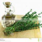 Thyme Oil thumbnail-5