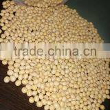 Soyabean Seed thumbnail-4