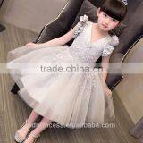 2017 New Style Girls Fancy Dress Embroidery Fabric Pink Kids Party Dress thumbnail-2