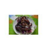 Vacuum Frying Machine thumbnail-1