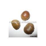 Roasted Chestnut Kernel