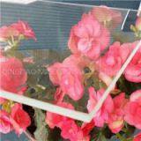 Ultra Clear Float Solar Glass thumbnail-1