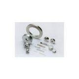 Permanent Magnet for Earphone thumbnail-2