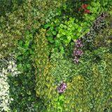 Artificial Plant and Trees thumbnail-3