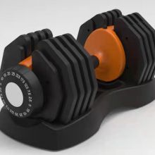 Adjustable dumbbell, essential for fitness