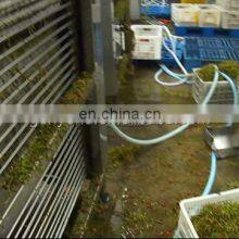 Best Cherry Stem Removing Machine Cherry /fruit Processing Machine thumbnail-3