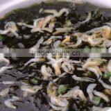 Bag Packing of Sun Dried Laver(Porphyra) Seaweed for Sale thumbnail-4