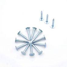 1“ Galvanized Roofing Clout Nails 1kg Box - Standard Compliant for Professional Roofing thumbnail-2