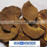 Rhubarb Root thumbnail-1