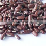Red Bamboo Beans
