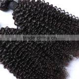Kinky Twists Peruvian Virgin Hair, Afro Kinky Curly Human Hair Weave Supplier's Choice thumbnail-5