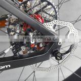 26ER Carbon Bike Toray T700 Full Carbon Fat Bike ICAN Bikes SN03- 11.7KG thumbnail-5