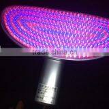 Soft Photon Skin Rejuvenation Beauty Equipment thumbnail-4