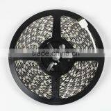 Fullbell High Quality Smd 5050 Led Plant Grow Light Strip thumbnail-2