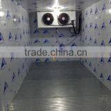 110v220v380v420v440v Dairy Cold Room for Ice Cream With Lowest Price thumbnail-1
