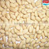 Good Tasted Blanched Peanut Kernels From China