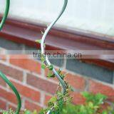 Tomato Spiral Screw Wire Rod Support Plant Support thumbnail-1