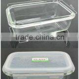Heat-resistant Vacuum Food Storage Container