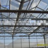 Polycarbonate Sheet Multi-span Greenhouse