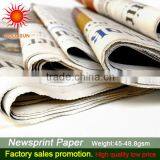 News Sun Paper thumbnail-1