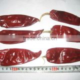 red chili with stem