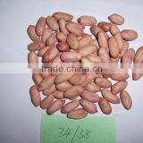 New Crop Shandong Peanut (long) With Competitive Price thumbnail-2