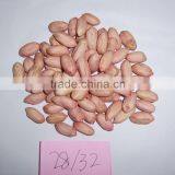Chinese Peanut Kernel With Whole Price From Factory thumbnail-1