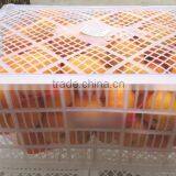 Names of Fruit Products Mandarin Orang With Complete Price thumbnail-1