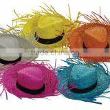 Straw Hawaii Hat