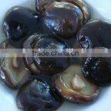 Canned Shiitake Mushroom Whole Mushroom Canned