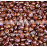 Chinese roasted chestnuts for sale