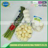 Super Quality Fresh Garlic thumbnail-5