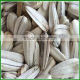 China Roasted and Salted White Sunflower Seeds for Human Eating thumbnail-1