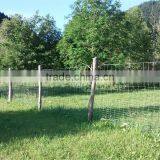 Safety Field Fence( Factory Exporter) thumbnail-5