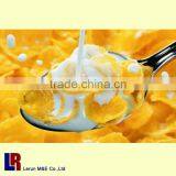 Energy Saving Twin-screw Extruder Honey Corn Flakes Processing Line thumbnail-1