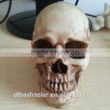 Sinister SKULL Skeleton Scary Lantern Halloween Light Up Party Spooky Decoration thumbnail-5